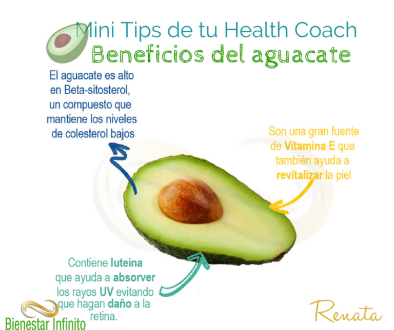 Beneficios Del Aguacate - Bienestar Infinito