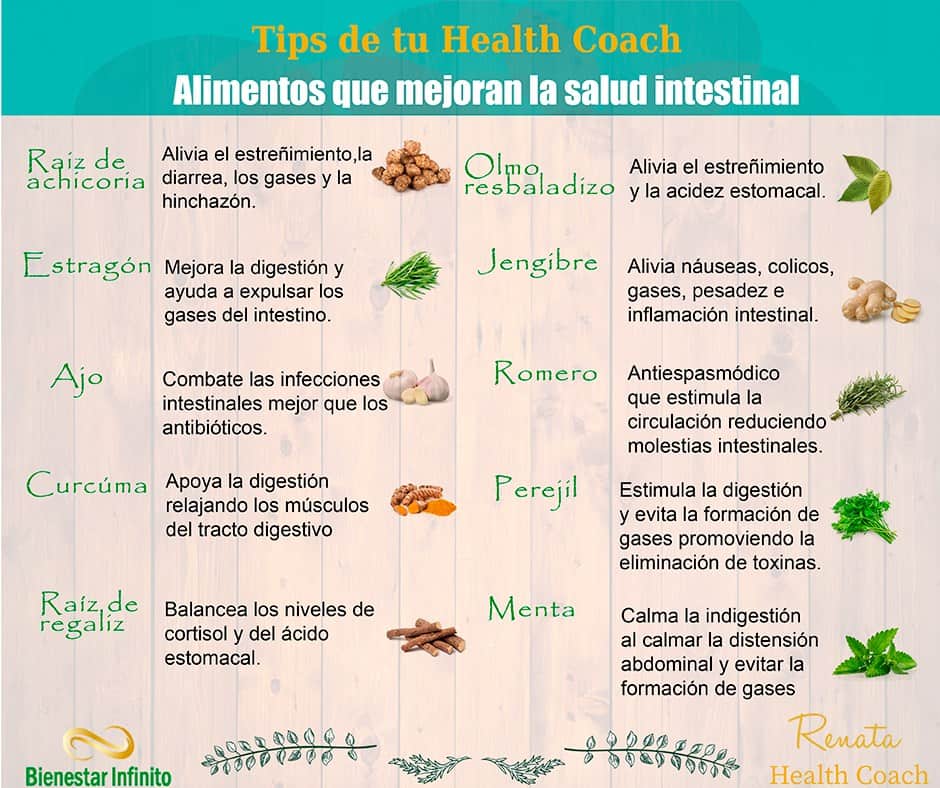 Alimentos que mejoran la salud intestinal