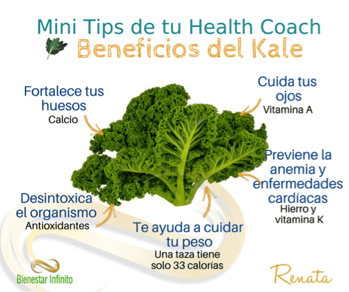 Beneficios del Kale