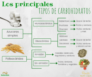 Los principales tipos de Carbohidratos
