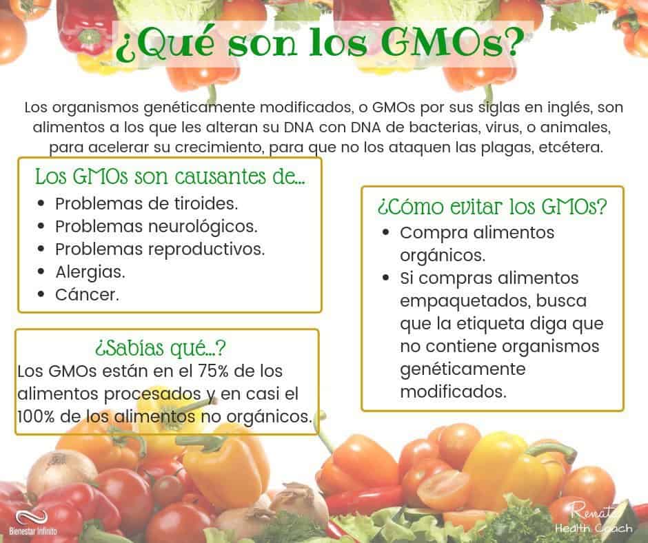 ¿Qué son los GMOs?