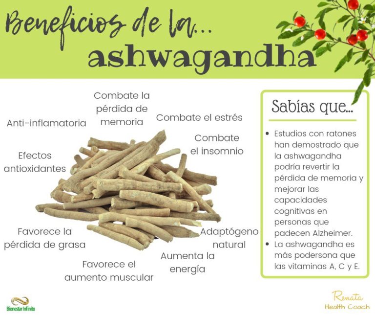 Ashwagandha O Que E Beneficios Da Erva Medicinal Para A Saude Images 0894