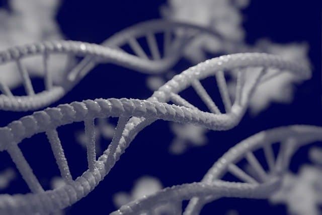 Epigenética: La genética no es una condena