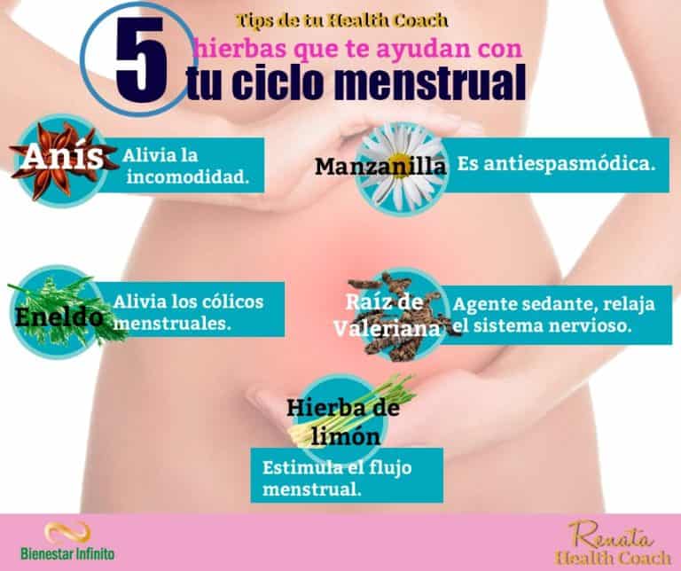 5 hierbas que te ayudan con tu ciclo menstrual.