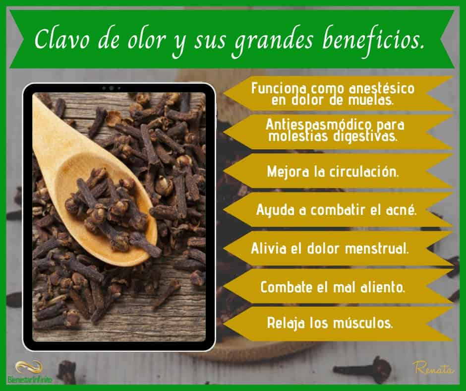 Beneficios del té de clavo de olor, Estilo de Vida Bienestar