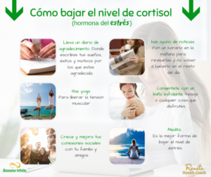 Cómo Bajar El Nivel De Cortisol. - Bienestar Infinito